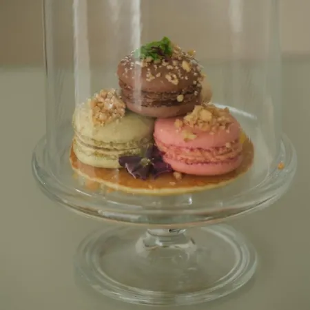 Hotel Quinta Da Maquia